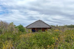 Nuarro Lodge Chalet View