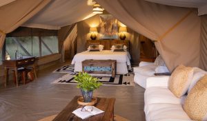 Offbeat Ndoto Camp Luxury Safari Tent