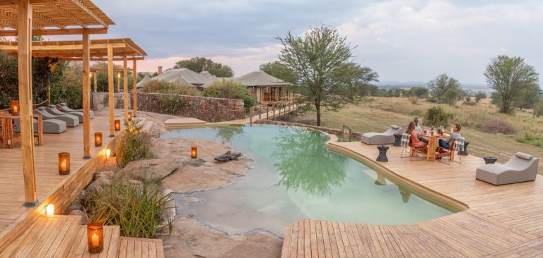 Sayari Camp Pool