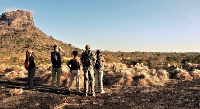 Walking Safari
