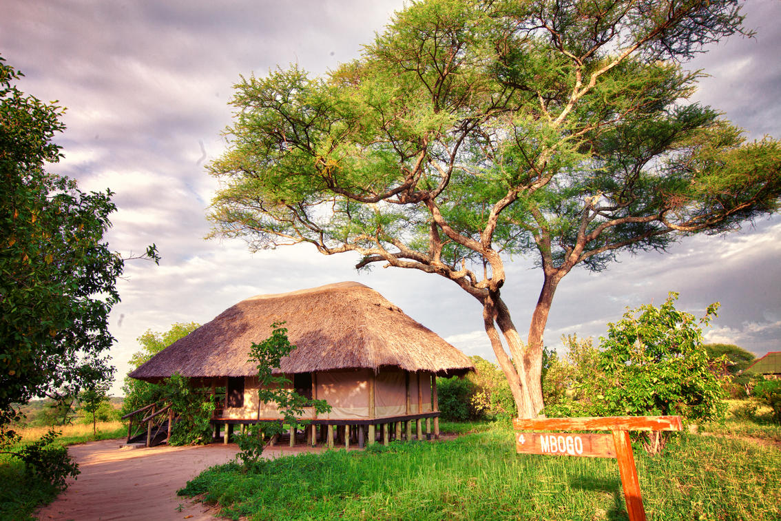 Mbali Mbali Tarangire River Camp Featured Image