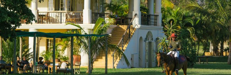 Giraffe Residence Featured Image