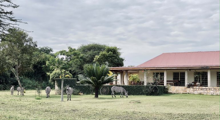 Giraffe Residence Outdoor