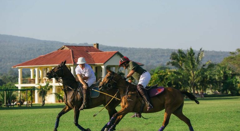 Giraffe Residence Polo