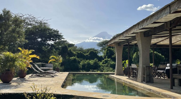 Giraffe Residence Pool