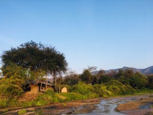 Kalepo Camp Tent View