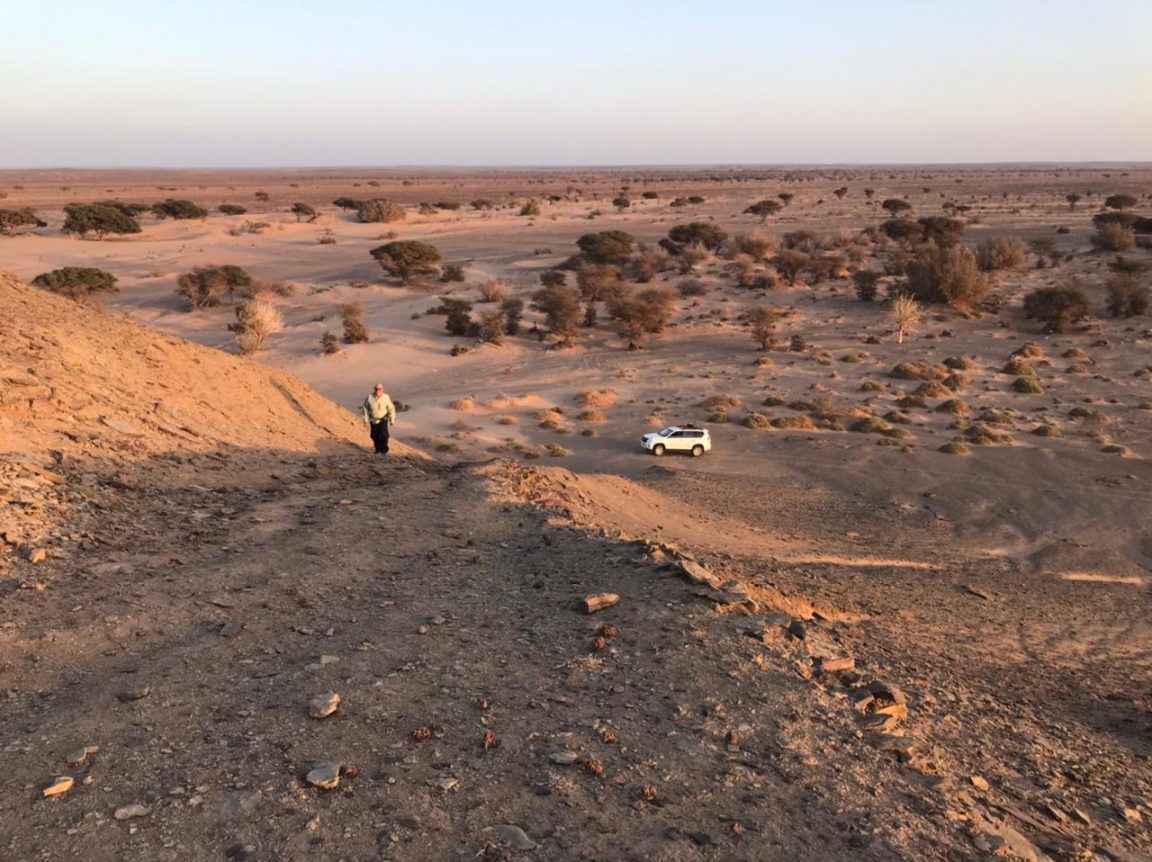 Desert Dunes
