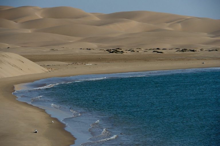 Dunes Sahara