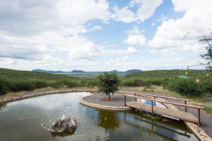 Rockfig Lodge Pool