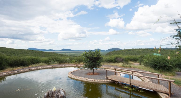 Rockfig Lodge Pool