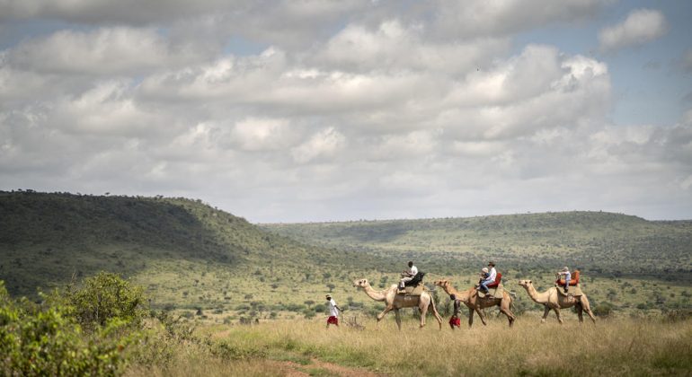 Camel Riding