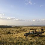 Kenya Safari