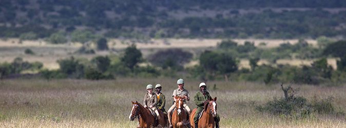 Horseback Riding Safari
