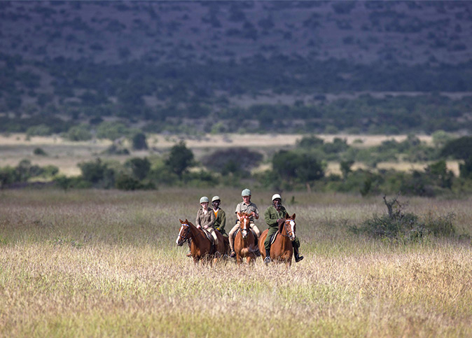 Horseback Riding Safari