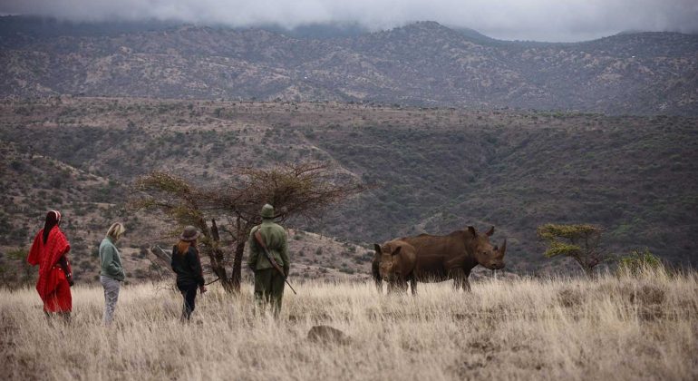 Lewa Safari Camp Bush Walk Rhino