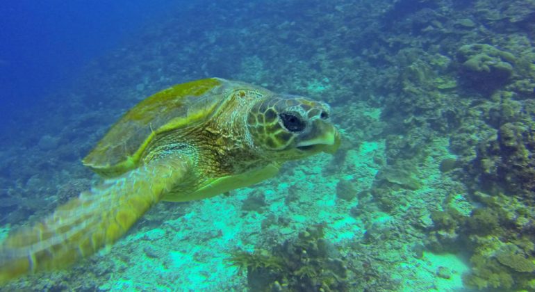 Underwater