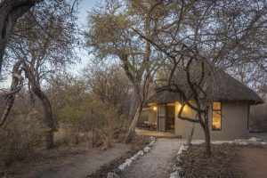 Onguma Forest Camp Accommodation