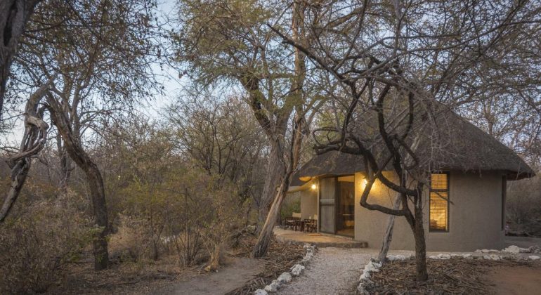 Onguma Forest Camp Accommodation