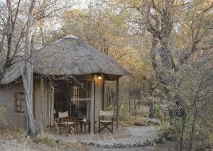Onguma Forest Camp Room