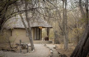 Onguma Forest Camp Walkway