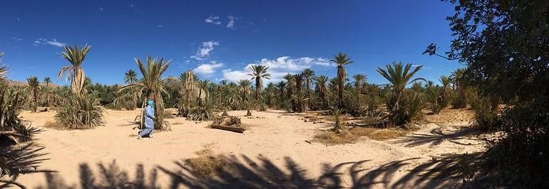 Green Oasis Mauritania