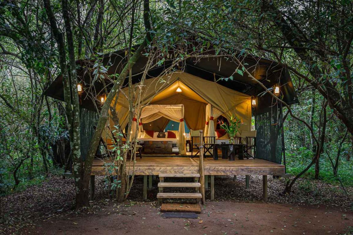 Mara Bush Camp Tent View