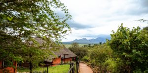 Soroi Leopards Lair Cottage