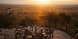 Soroi Leopards Lair Firepit