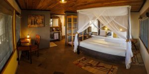Soroi Leopards Lair Room
