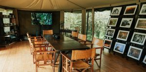 Soroi Mara Bush Camp Photo Studio