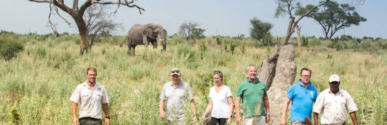 8 Nights Walking Safari
