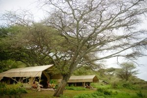Esirai Camp Tent View