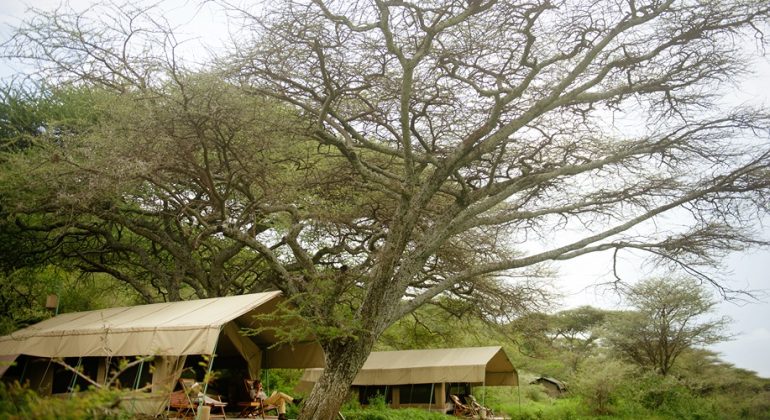 Esirai Camp Tent View