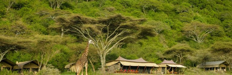Esirai Camp View