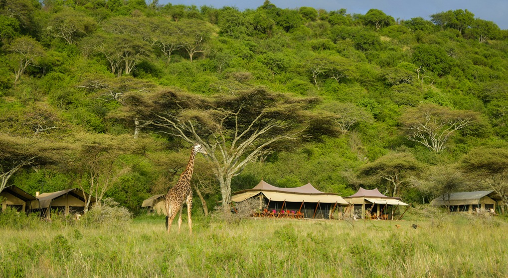Esirai Camp View