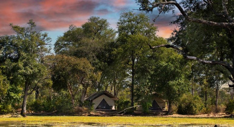 Ingwe Pan Camp View