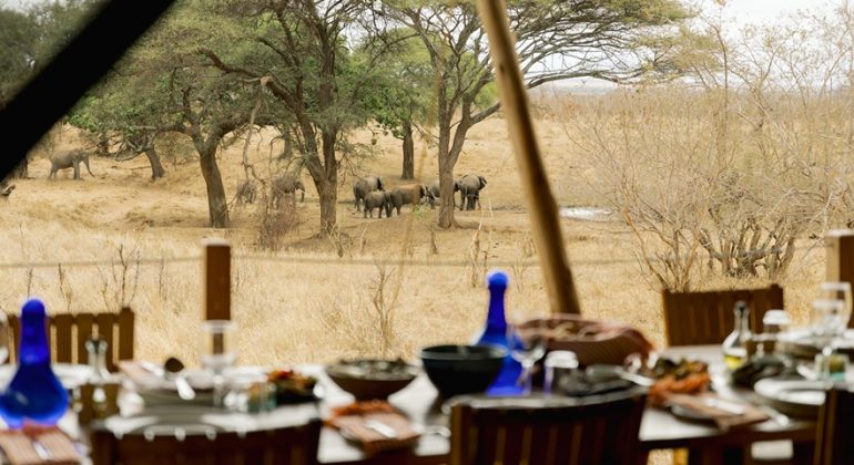 Olkeri Camp Dining