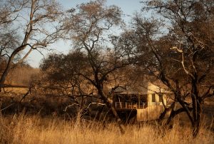 Olkeri Camp Tent