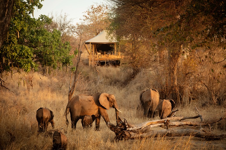 Olkeri Camp View