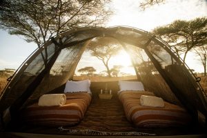 Olmara Camp Fly Camping