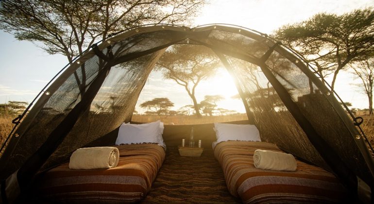 Olmara Camp Fly Camping