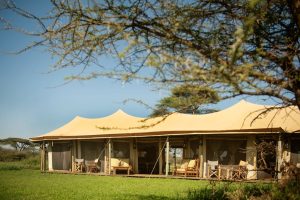 Olmara Camp Main Area