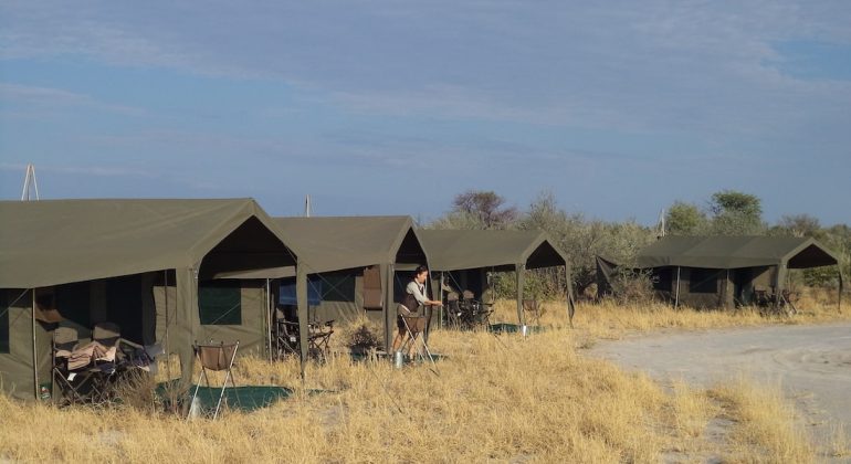 Tents At Central Kalahari Game Reserve Camp