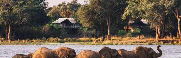 Zambezi River