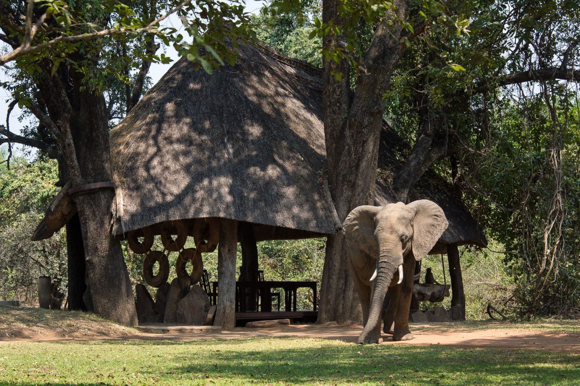 Nkwali Camp Outdoors