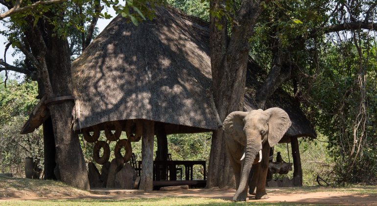 Nkwali Camp Outdoors