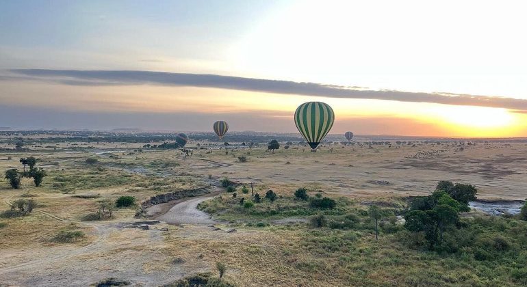 Balloon Safari