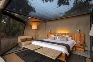 Kokoko Camp Tent Interior