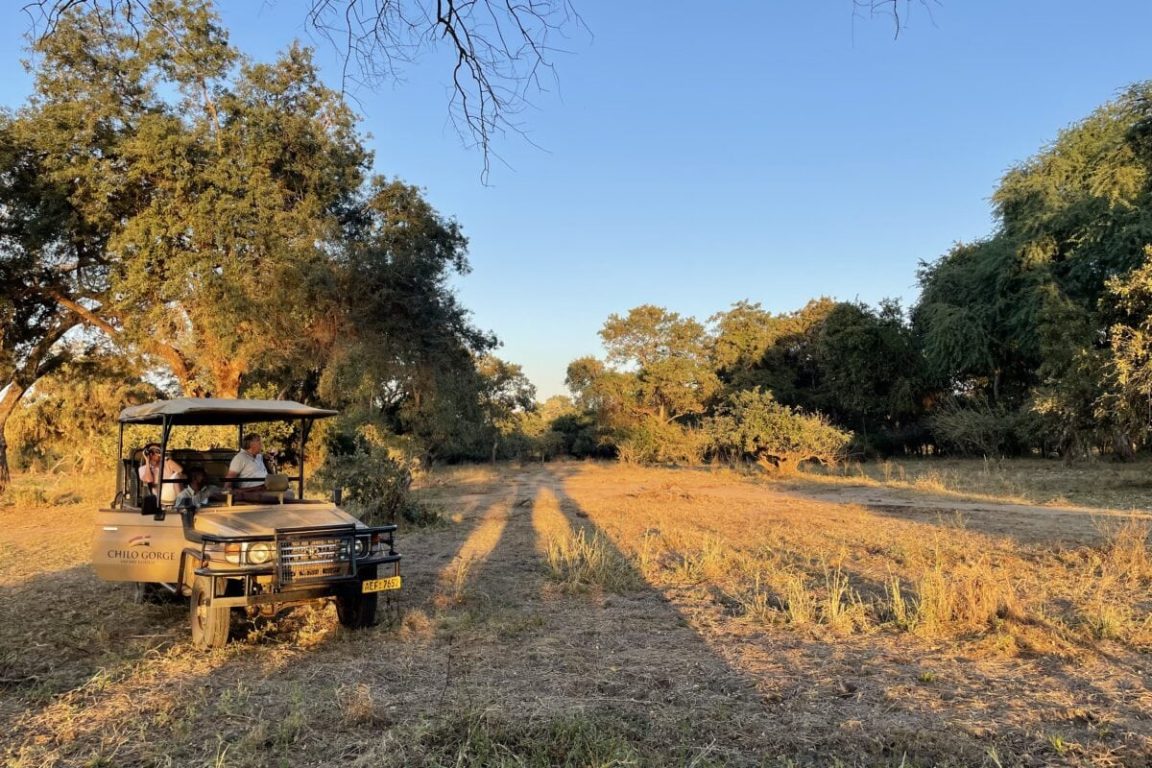 Game Drives