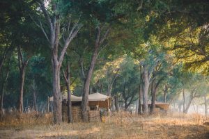 Kutali Camp Tents